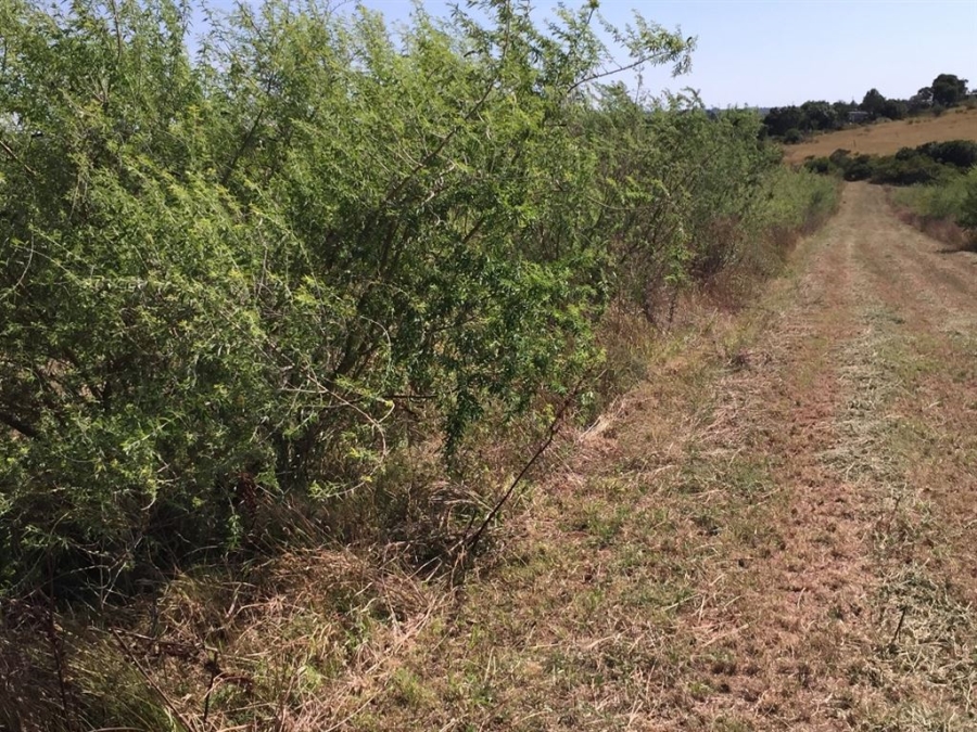 Commercial Property for Sale in Bathurst Eastern Cape